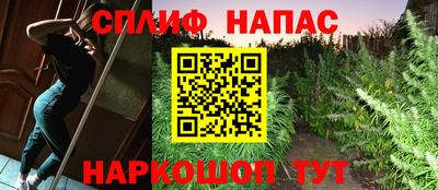 бошки Моздок