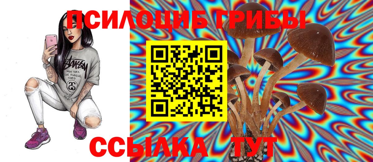 Псилоцибиновые грибы Cubensis Тула