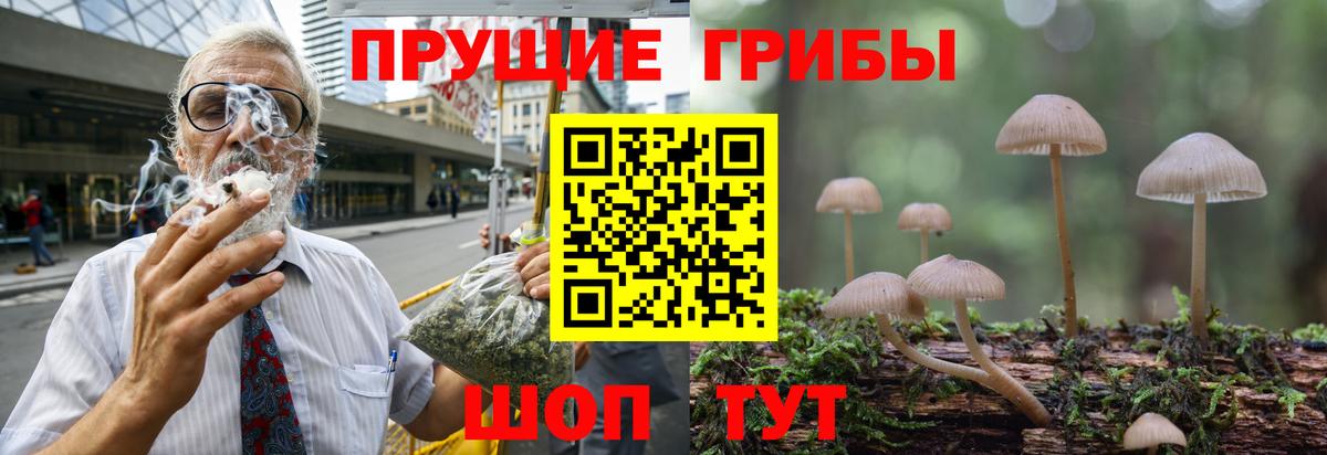 Тула  Галлюциногенные грибы Psilocybe  Вход с VPN 